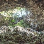 Una grotta nelle foreste del Kenya rivela la piu antica sepoltura Y4eu4 1 5