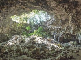 Una grotta nelle foreste del Kenya rivela la piu antica sepoltura Y4eu4 1 3