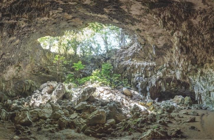 Una grotta nelle foreste del Kenya rivela la piu antica sepoltura Y4eu4 1 1