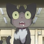 12 migliori gatti di Anime di tutti i tempi qz7daM 1 4