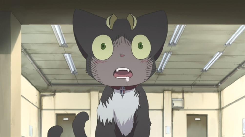 12 migliori gatti di Anime di tutti i tempi qz7daM 1 1