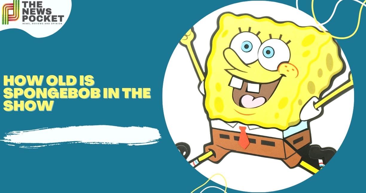 Quanti anni ha Sponge Bob nello show La sua vera eta spiegata AektDYdL 1 1