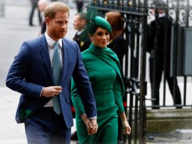Prince Harry Faces Backlash Over Failed Bid for SelfPaid PoliceXiI0s 50