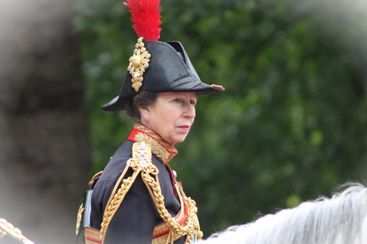 Princess Anne Disagrees with Slimming Monarchy Appears to 1