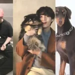 Membri di BTS e i loro adorabili animali domestici RMs Monie V Yeontan 55Nq8 1 5