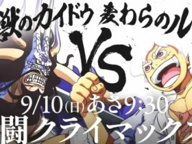 Un pezzo ottiene un video speciale per Luffy vs Kaido Fight Climax 4msT9pIy 1 3