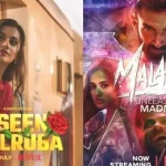 Thriller romantici da guardare su Netflix Haseen Dillruba il fine Q9jg38 1 4